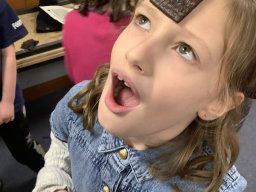 2401619_webblog_large