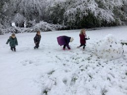 3357932_webblog_large