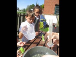 1386104_webblog_large