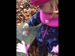950028_page_large