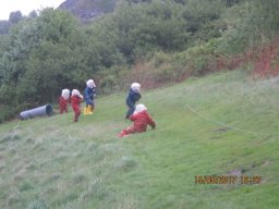 787753_work_large