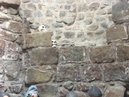 2541868_webblog_large