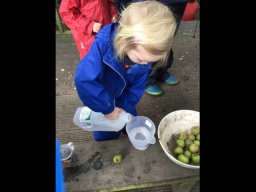 676672_page_large